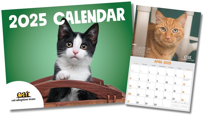 2025 CAT Calendar